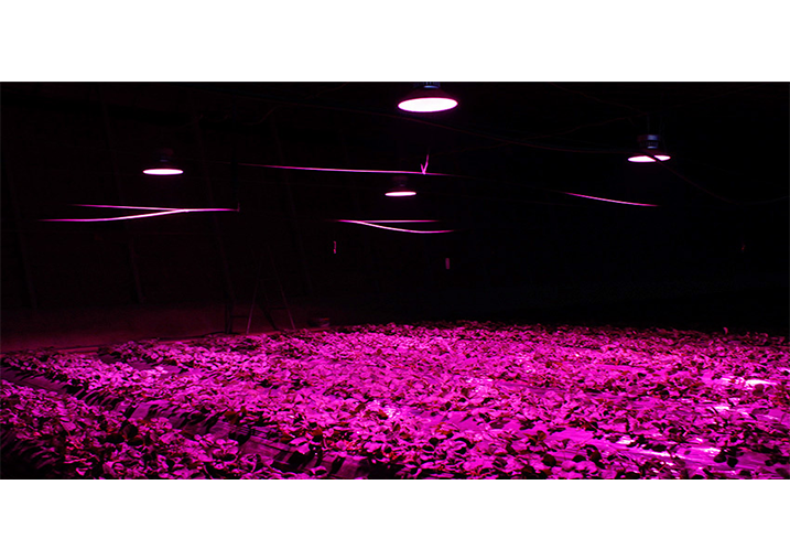 Shandong weifang technology co., LTD